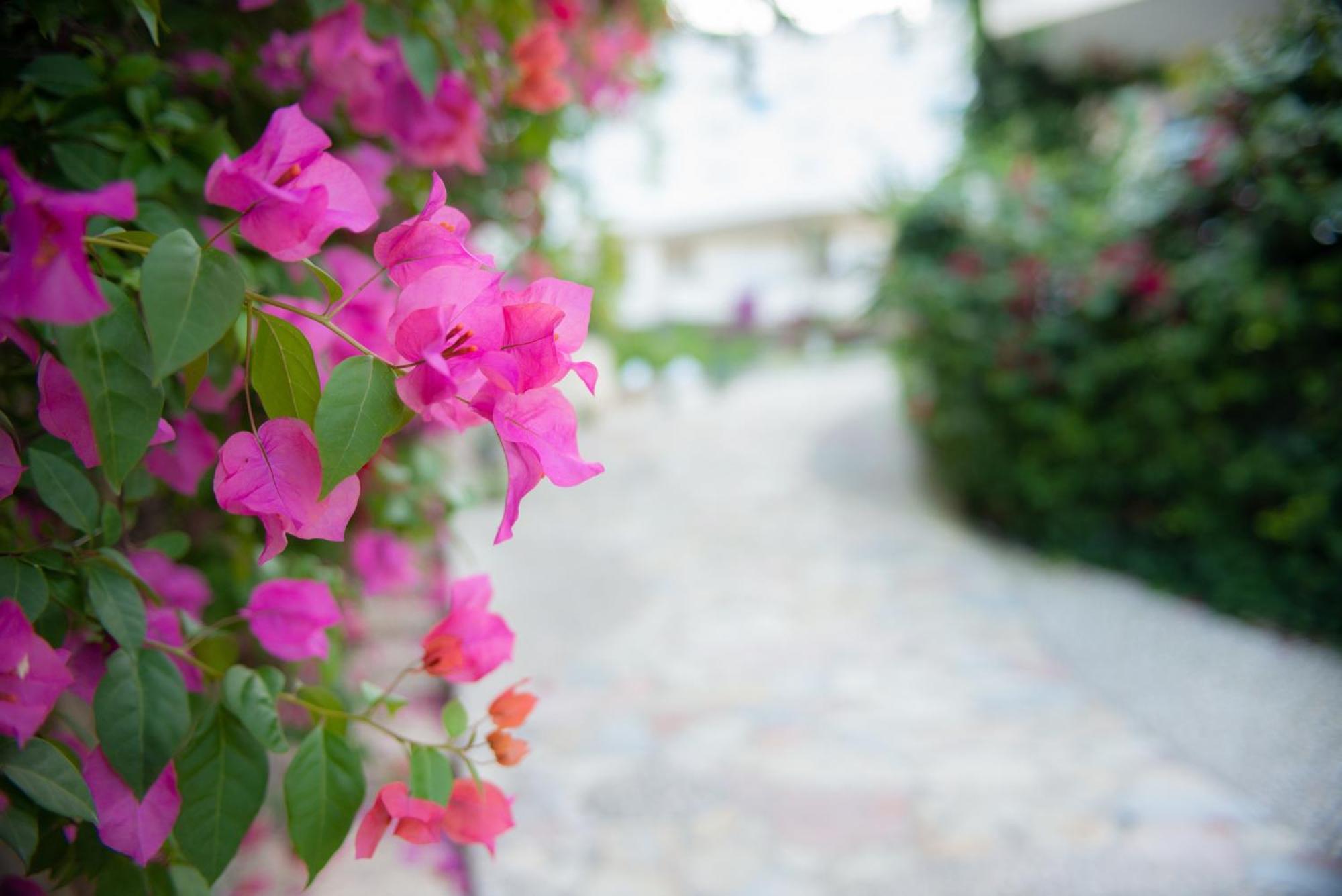Bougainville Bay Apartments Sarandë Esterno foto